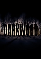 Darkwood скачать торрент скачать